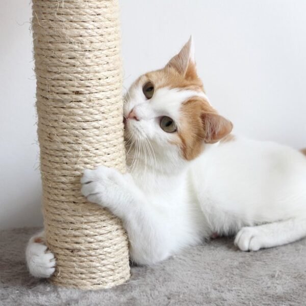 3-Tier Cat Tree – 2 Carpeted Napping Perches, Sisal Rope Scratching Post - Image 3